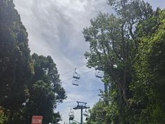 -圣淘沙天际线斜坡滑车