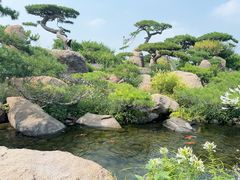 -罗红摄影艺术馆