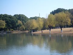 -上海方塔园