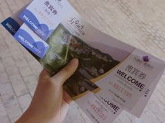 -大塘金香草谷