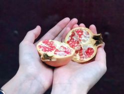 -LaMousse婚纱买手店