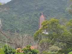 -深圳仙湖植物园