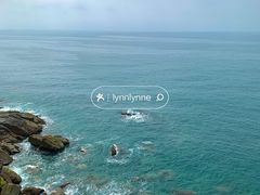 -广东惠东海龟国家级自然保护区