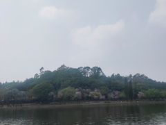 -南国桃园旅游度假区