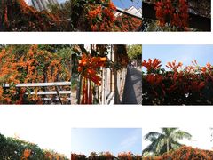 -文华公园(禅城区)