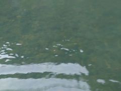 -九曲溪漂流