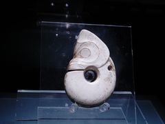 -辽宁省博物馆