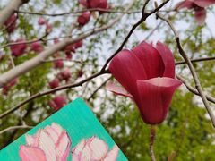 -莲花池公园