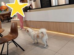 -Tims天好咖啡·贝果(华侨城步行街店)