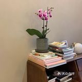 在咖啡厅交了一个叫“妞妞”的新朋友