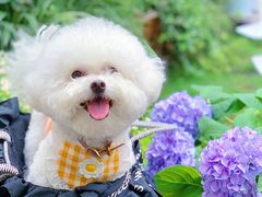 -时间逆·烘焙