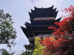 -杭州半山国家森林公园