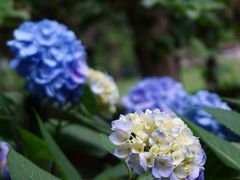 -常州古运河南大街文化旅游区-人民公园