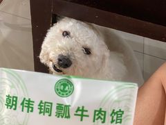 -朝伟清真铜瓢牛肉馆(三十年老·店)