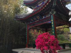 -红螺寺