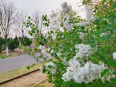 -永定河休闲森林公园