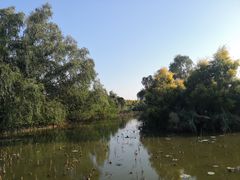 -大湾区中央湿地公园