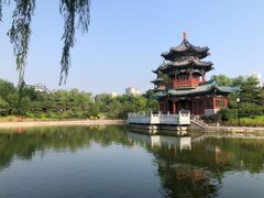-迎泽公园