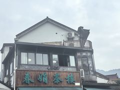 -春娟茶楼·地道农家菜(梅家坞店)