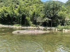 -武汉姚家山旅游景区