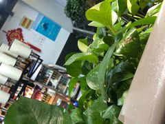 -再回头私房菜·老南京菜