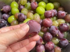 -马陆小张葡萄园农家乐