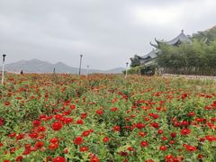 -大泽山风景名胜区