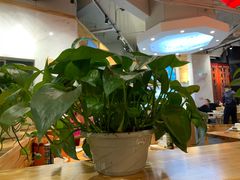 大堂-袁记串串香(川师店)