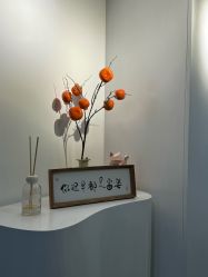 -DELAVAY黛乐薇抗衰中心