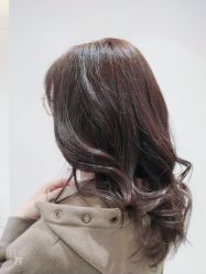 -爱维丽