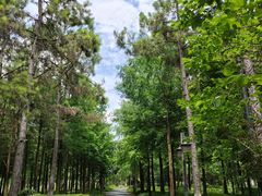 -西溪国家湿地公园