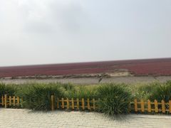 -红海滩国家风景廊道