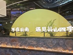 -芸山季·云南山珍菌火锅(南翔印象城MEGA店)