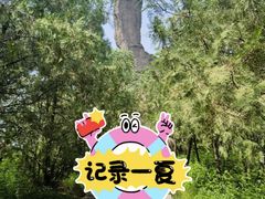 -磬锤峰森林公园