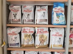 -艾贝尔宠物医院 ·内科全科(梁溪路店)