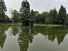 -桤木河湿地公园