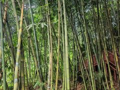 -英西峰林·洞天仙境