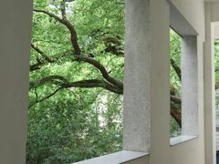 -湖北美术学院(昙华林校区)