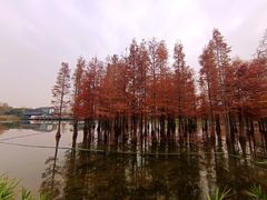 -白鹭湾湿地公园