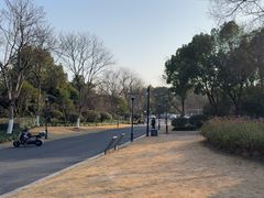 -杭州城北体育公园