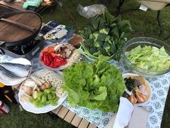 -前小桔亲子创意农场·草莓采摘·露营烧烤