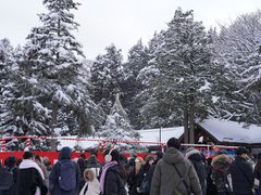 -北海道神宫