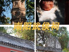 -中国西峡恐龙遗迹园