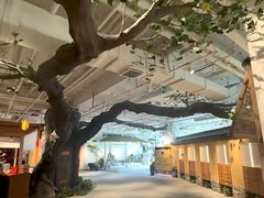 -大视光学•LINDBERG林德伯格•全球手工眼镜集合店(王府井店)