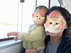 -白洋淀景区