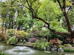 -上海醉白池公园