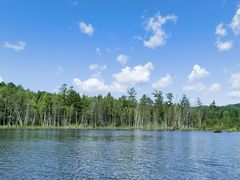 -五营红松林海景区