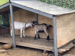 -潭柘厚院&山顶烤肉(潭柘寺店)