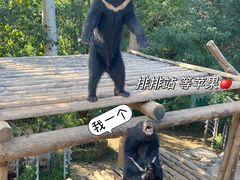 -济南野生动物世界