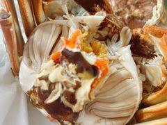 -黄记大闸蟹专卖店·活蟹·醉蟹